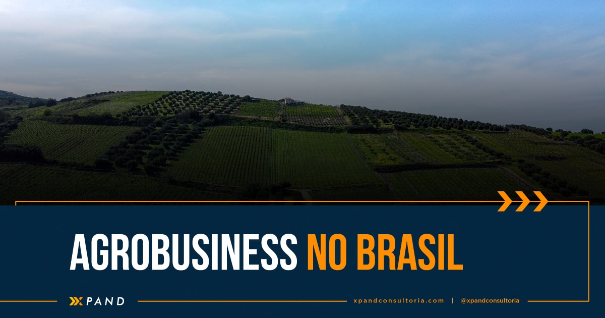 Agribusiness no Brasil